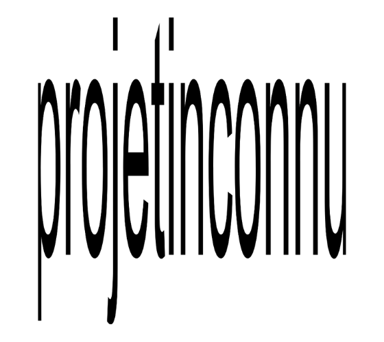 projetinconnu.com